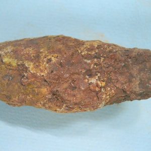 New Mexico Triassic Age Dinosaur Coprolite 57 | Fossils for Sale Genuine Triassic Age Dinosaur Coprolite Fossil for Sale from New Mexico #57