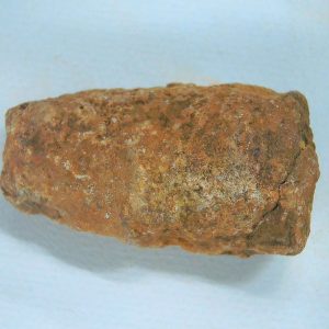 New Mexico Triassic Age Dinosaur Coprolite 58 | Fossils for Sale Genuine Triassic Age Dinosaur Coprolite Fossil for Sale from New Mexico #58