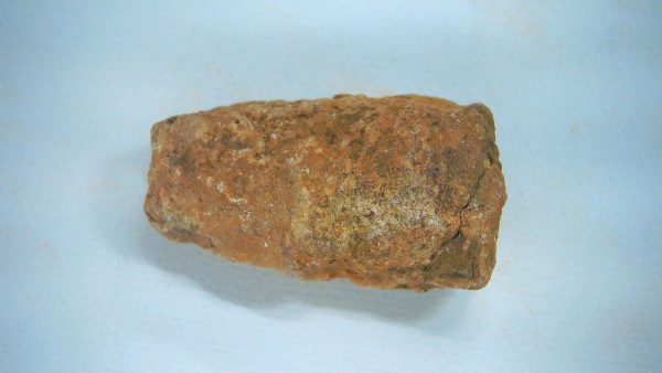 New Mexico Triassic Age Dinosaur Coprolite 58 | Fossils for Sale Genuine Triassic Age Dinosaur Coprolite Fossil for Sale from New Mexico #58