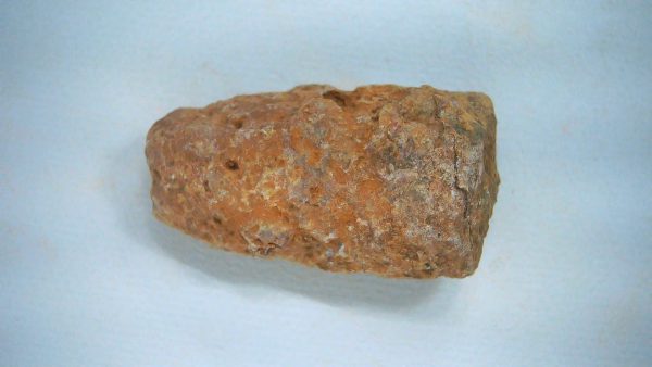 New Mexico Triassic Age Dinosaur Coprolite 58a | Fossils for Sale Genuine Triassic Age Dinosaur Coprolite Fossil for Sale from New Mexico #58a