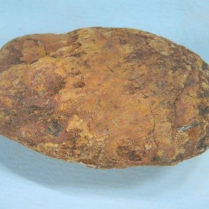 New Mexico Triassic Age Dinosaur Coprolite 59 | Fossils for Sale Genuine Triassic Age Dinosaur Coprolite Fossil for Sale from New Mexico #59