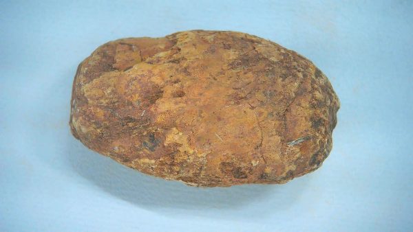 New Mexico Triassic Age Dinosaur Coprolite 59 | Fossils for Sale Genuine Triassic Age Dinosaur Coprolite Fossil for Sale from New Mexico #59