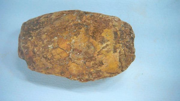 New Mexico Triassic Age Dinosaur Coprolite 59a | Fossils for Sale Genuine Triassic Age Dinosaur Coprolite Fossil for Sale from New Mexico #59a