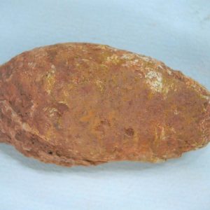 New Mexico Triassic Age Dinosaur Coprolite 60 | Fossils for Sale Genuine Triassic Age Dinosaur Coprolite Fossil for Sale from New Mexico #60