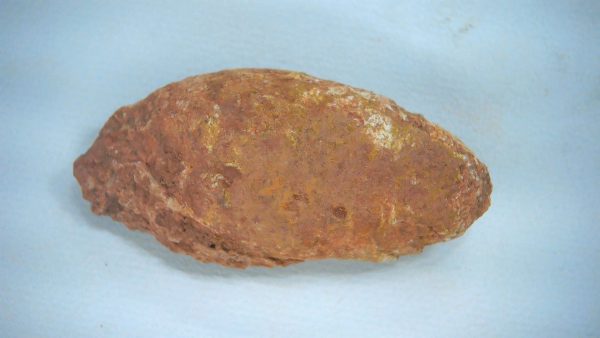 New Mexico Triassic Age Dinosaur Coprolite 60 | Fossils for Sale Genuine Triassic Age Dinosaur Coprolite Fossil for Sale from New Mexico #60