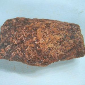 Genuine Triassic Age Dinosaur Coprolite Fossil for Sale from New Mexico #62