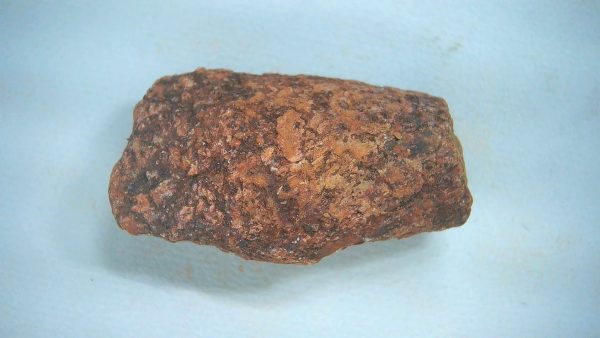 New Mexico Triassic Age Dinosaur Coprolite 62 | Fossils for Sale Genuine Triassic Age Dinosaur Coprolite Fossil for Sale from New Mexico #62