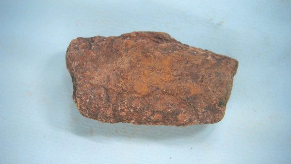 New Mexico Triassic Age Dinosaur Coprolite 62a | Fossils for Sale Genuine Triassic Age Dinosaur Coprolite Fossil for Sale from New Mexico #62a