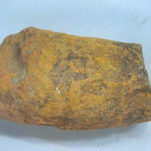 Genuine Triassic Age Dinosaur Coprolite Fossil for Sale from New Mexico #63