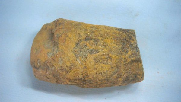 New Mexico Triassic Age Dinosaur Coprolite 63 | Fossils for Sale Genuine Triassic Age Dinosaur Coprolite Fossil for Sale from New Mexico #63