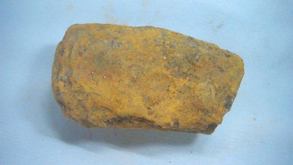 New Mexico Triassic Age Dinosaur Coprolite 63a | Fossils for Sale Genuine Triassic Age Dinosaur Coprolite Fossil for Sale from New Mexico #63a