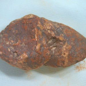 Genuine Triassic Age Dinosaur Coprolite Fossil for Sale from New Mexico #67
