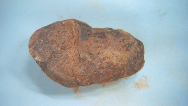 New Mexico Triassic Age Dinosaur Coprolite 67a | Fossils for Sale Genuine Triassic Age Dinosaur Coprolite Fossil for Sale from New Mexico #67a