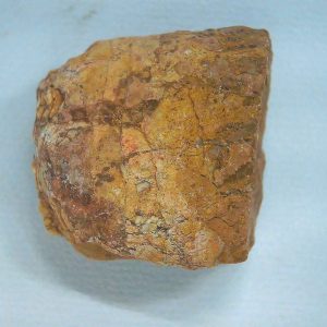 Genuine Triassic Age Dinosaur Coprolite Fossil for Sale from New Mexico #68