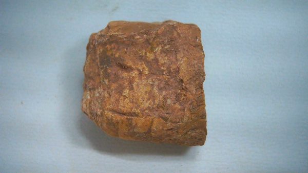 New Mexico Triassic Age Dinosaur Coprolite 68a | Fossils for Sale Genuine Triassic Age Dinosaur Coprolite Fossil for Sale from New Mexico #68a