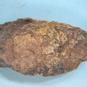 Genuine Triassic Age Dinosaur Coprolite Fossil for Sale from New Mexico #69