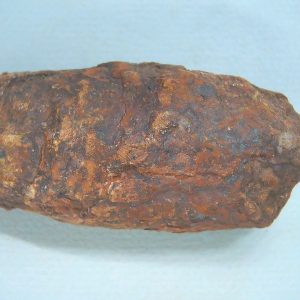 Genuine Triassic Age Dinosaur Coprolite Fossil for Sale from New Mexico #70
