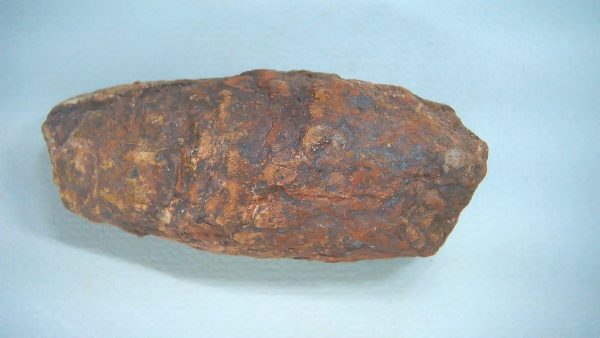 New Mexico Triassic Age Dinosaur Coprolite 70 | Fossils for Sale Genuine Triassic Age Dinosaur Coprolite Fossil for Sale from New Mexico #70