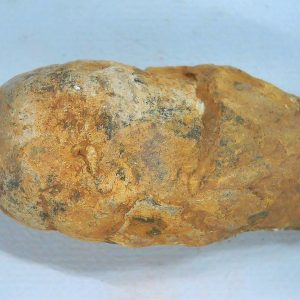 Genuine Triassic Age Dinosaur Coprolite Fossil for Sale from New Mexico #71