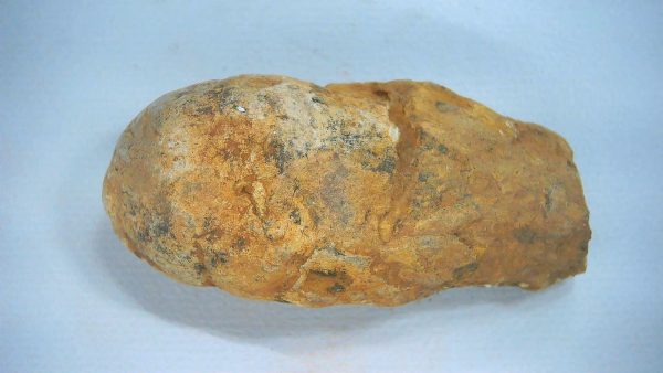 New Mexico Triassic Age Dinosaur Coprolite 71 | Fossils for Sale Genuine Triassic Age Dinosaur Coprolite Fossil for Sale from New Mexico #71