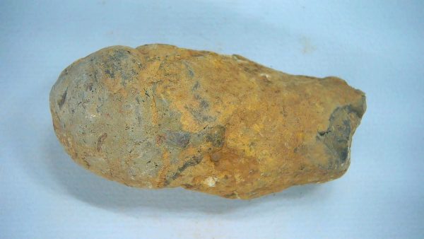 New Mexico Triassic Age Dinosaur Coprolite 71a | Fossils for Sale Genuine Triassic Age Dinosaur Coprolite Fossil for Sale from New Mexico #71a