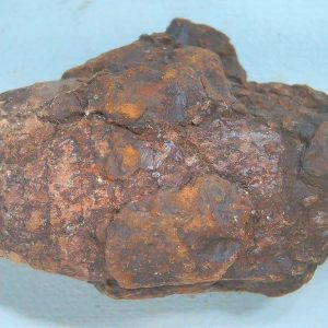 Genuine Triassic Age Dinosaur Coprolite Fossil for Sale from New Mexico #73