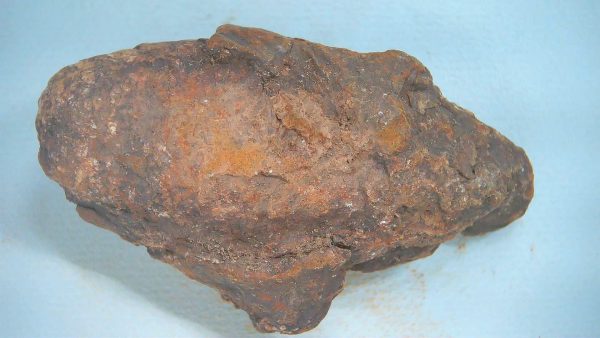 New Mexico Triassic Age Dinosaur Coprolite 73a | Fossils for Sale Genuine Triassic Age Dinosaur Coprolite Fossil for Sale from New Mexico #73a