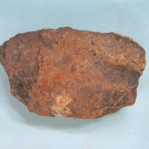 Genuine Triassic Age Dinosaur Coprolite Fossil for Sale from New Mexico #74