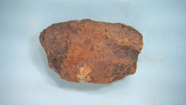 New Mexico Triassic Age Dinosaur Coprolite 74 | Fossils for Sale Genuine Triassic Age Dinosaur Coprolite Fossil for Sale from New Mexico #74