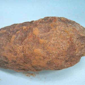 Genuine Triassic Age Dinosaur Coprolite Fossil for Sale from New Mexico #75