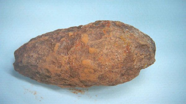 New Mexico Triassic Age Dinosaur Coprolite 75 | Fossils for Sale Genuine Triassic Age Dinosaur Coprolite Fossil for Sale from New Mexico #75