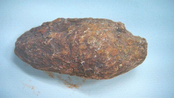 New Mexico Triassic Age Dinosaur Coprolite 75a | Fossils for Sale Genuine Triassic Age Dinosaur Coprolite Fossil for Sale from New Mexico #75a