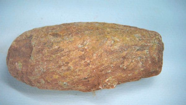 New Mexico Triassic Age Dinosaur Coprolite 78 | Fossils for Sale Genuine Triassic Age Dinosaur Coprolite Fossil for Sale from New Mexico #78