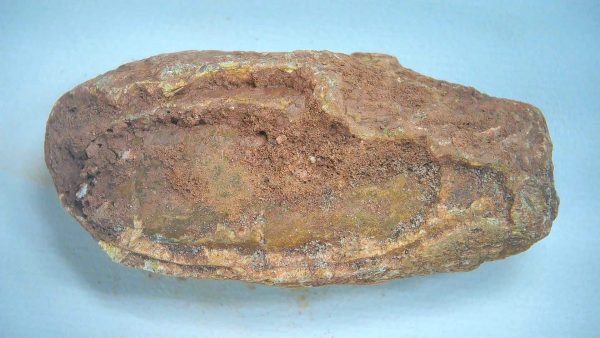 New Mexico Triassic Age Dinosaur Coprolite 78a | Fossils for Sale Genuine Triassic Age Dinosaur Coprolite Fossil for Sale from New Mexico #78a