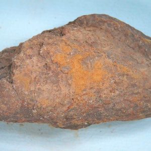 Genuine Triassic Age Dinosaur Coprolite Fossil for Sale from New Mexico #79