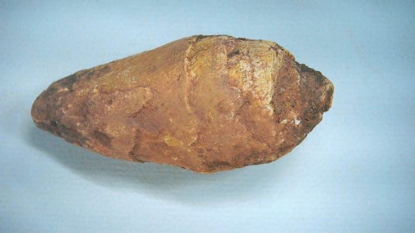 New Mexico Triassic Age Dinosaur Coprolite 80 | Fossils for Sale Genuine Triassic Age Dinosaur Coprolite Fossil for Sale from New Mexico #80
