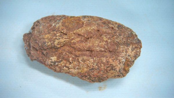 New Mexico Triassic Age Dinosaur Coprolite 82 | Fossils for Sale Genuine Triassic Age Dinosaur Coprolite Fossil for Sale from New Mexico #82