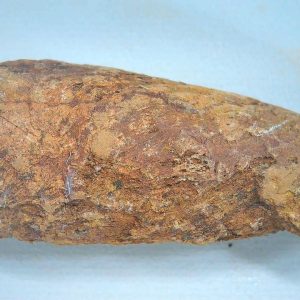 Genuine Triassic Age Dinosaur Coprolite Fossil for Sale from New Mexico #83