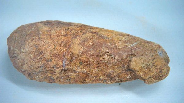 New Mexico Triassic Age Dinosaur Coprolite 83 | Fossils for Sale Genuine Triassic Age Dinosaur Coprolite Fossil for Sale from New Mexico #83