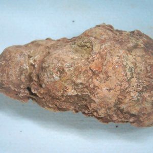 Genuine Triassic Age Dinosaur Coprolite Fossil for Sale from New Mexico #84