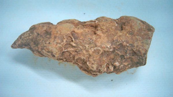 New Mexico Triassic Age Dinosaur Coprolite 84a | Fossils for Sale Genuine Triassic Age Dinosaur Coprolite Fossil for Sale from New Mexico #84a