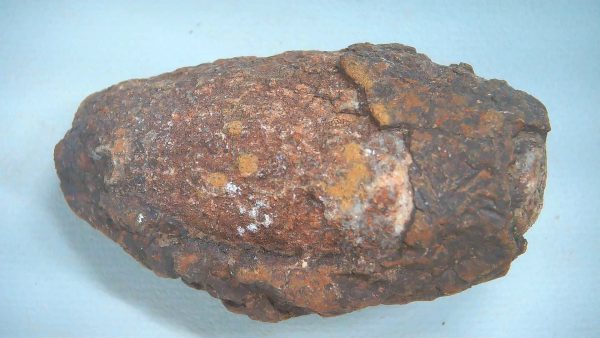 New Mexico Triassic Age Dinosaur Coprolite 85a | Fossils for Sale Genuine Triassic Age Dinosaur Coprolite Fossil for Sale from New Mexico #85a