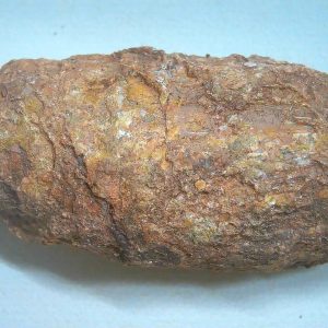 Genuine Triassic Age Dinosaur Coprolite Fossil for Sale from New Mexico #86