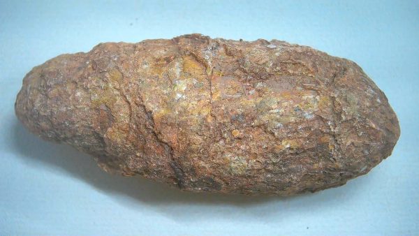 New Mexico Triassic Age Dinosaur Coprolite 86 | Fossils for Sale Genuine Triassic Age Dinosaur Coprolite Fossil for Sale from New Mexico #86