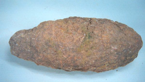 New Mexico Triassic Age Dinosaur Coprolite 86a | Fossils for Sale Genuine Triassic Age Dinosaur Coprolite Fossil for Sale from New Mexico #86a