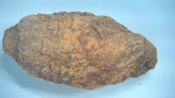 New Mexico Triassic Age Dinosaur Coprolite 87 | Fossils for Sale Genuine Triassic Age Dinosaur Coprolite Fossil for Sale from New Mexico #87