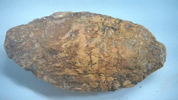 New Mexico Triassic Age Dinosaur Coprolite 87a | Fossils for Sale Genuine Triassic Age Dinosaur Coprolite Fossil for Sale from New Mexico #87a