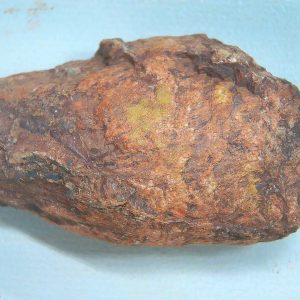 Genuine Triassic Age Dinosaur Coprolite Fossil for Sale from New Mexico #88