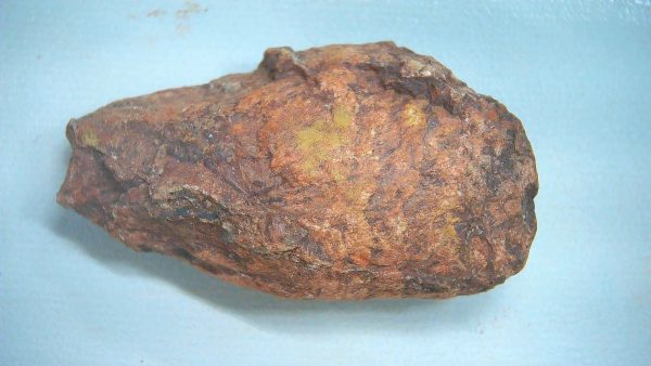 New Mexico Triassic Age Dinosaur Coprolite 88 | Fossils for Sale Genuine Triassic Age Dinosaur Coprolite Fossil for Sale from New Mexico #88