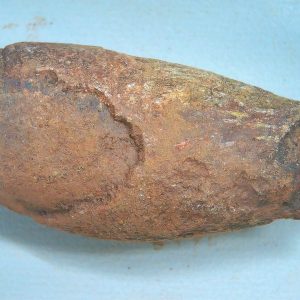 Genuine Triassic Age Dinosaur Coprolite Fossil for Sale from New Mexico #89